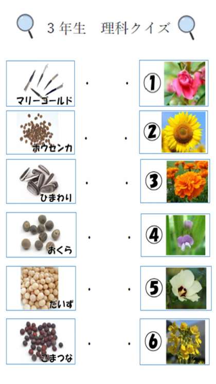 【クイズ】どんな花がさくでしょうか？