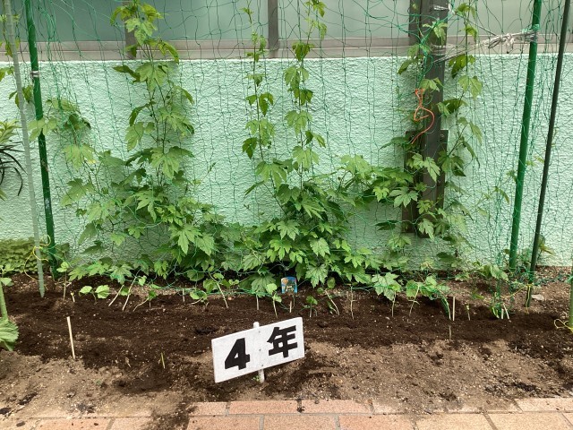 https://edogawa.schoolweb.ne.jp/1310035/blog_img/5177502?tm=20240522161056