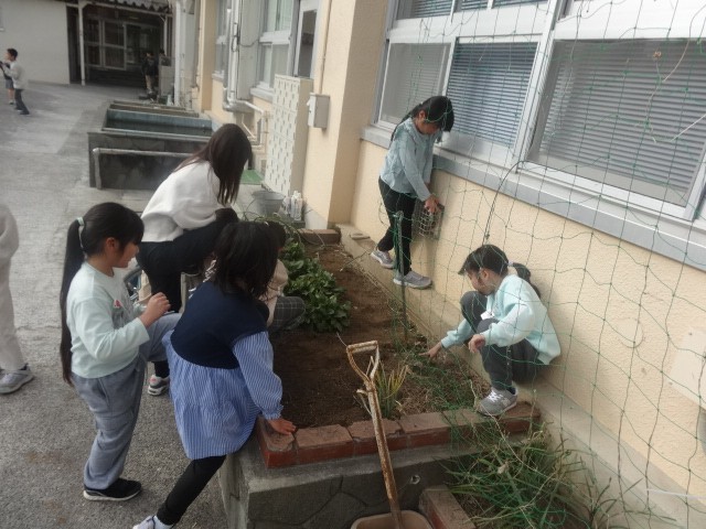 https://edogawa.schoolweb.ne.jp/1310038/blog_img/189201368?tm=20250119074806