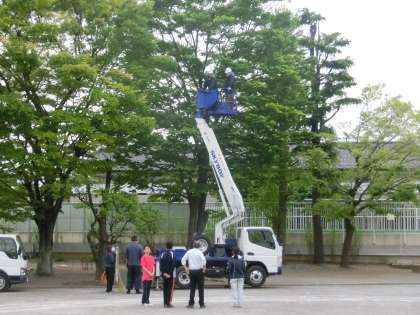 撤去作業
