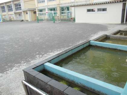 雨の校庭観察池