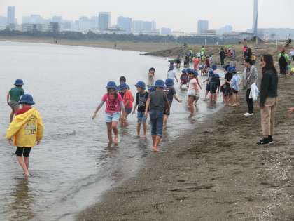 砂浜での生き物見つけ