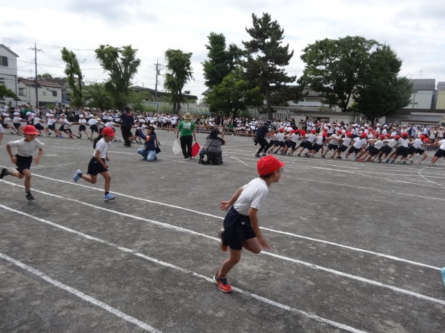 https://edogawa.schoolweb.ne.jp/1310038/blog_img/8320524?tm=20240605193436