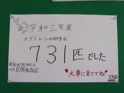 今年は７３１匹