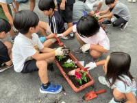 2年生活「花いっぱい大作戦」