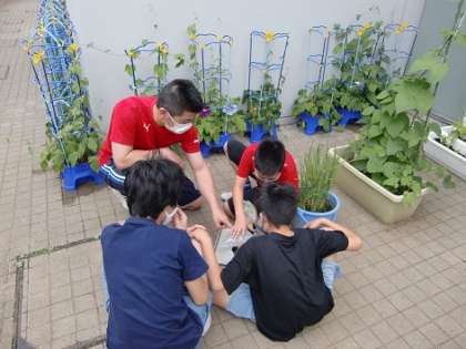 ６年生　理科の学習