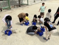 あすなろ1・2年生　アサガオの種植え