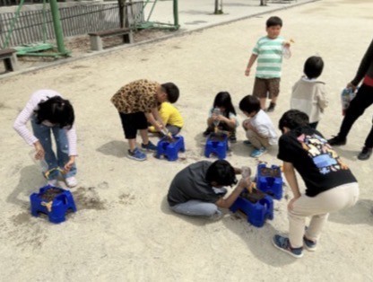 あすなろ1・2年生　アサガオの種植え