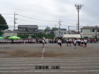応援合戦（白組）