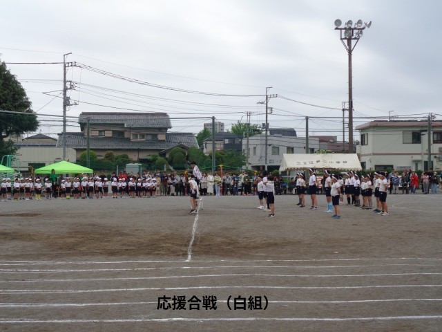 応援合戦（白組）
