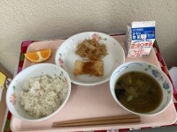 給食写真