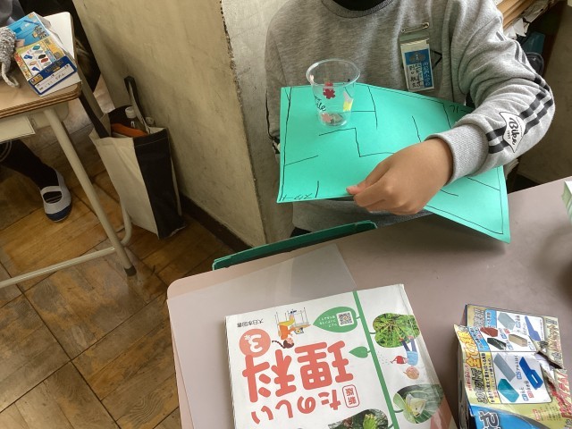 https://edogawa.schoolweb.ne.jp/1310056/blog_img/232251608?tm=20250312115228