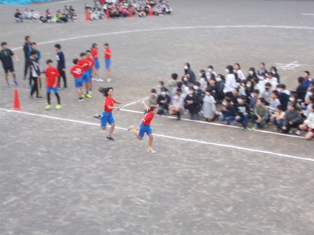 https://edogawa.schoolweb.ne.jp/1310058/blog_img/68379067?tm=20241111185733