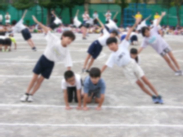 https://edogawa.schoolweb.ne.jp/1310059/blog_img/48136797?tm=20240927094434