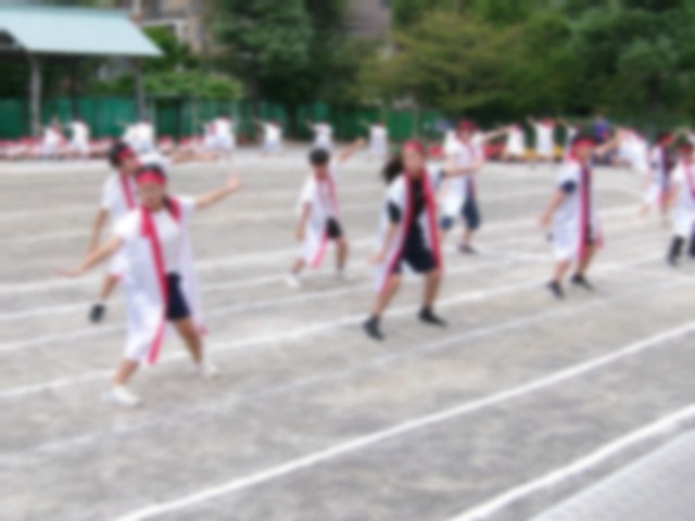 https://edogawa.schoolweb.ne.jp/1310059/blog_img/48136906?tm=20240927095028