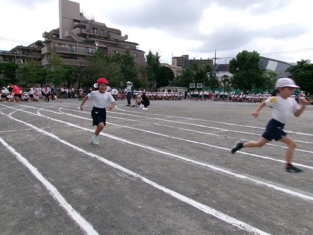 https://edogawa.schoolweb.ne.jp/1310059/blog_img/48147083?tm=20240928130541