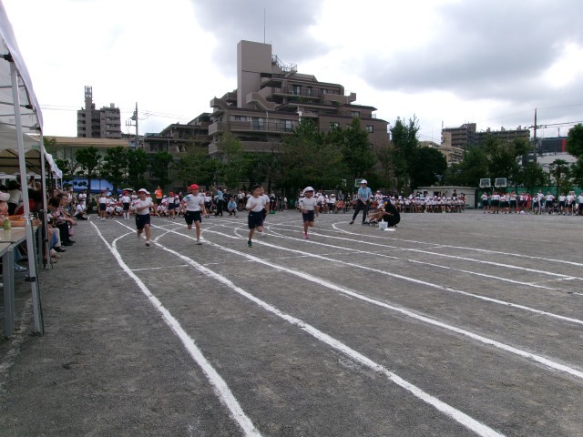 https://edogawa.schoolweb.ne.jp/1310059/blog_img/48147084?tm=20240928130542