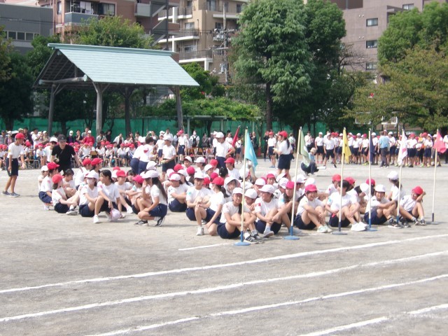 https://edogawa.schoolweb.ne.jp/1310059/blog_img/48147087?tm=20240928130542