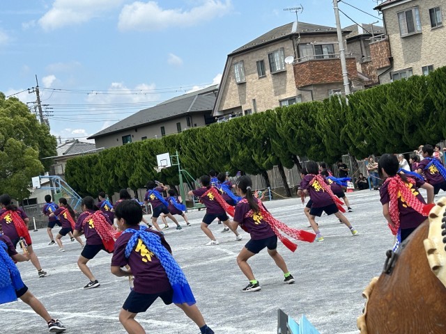 https://edogawa.schoolweb.ne.jp/1310069/blog_img/7029029?tm=20240601165419