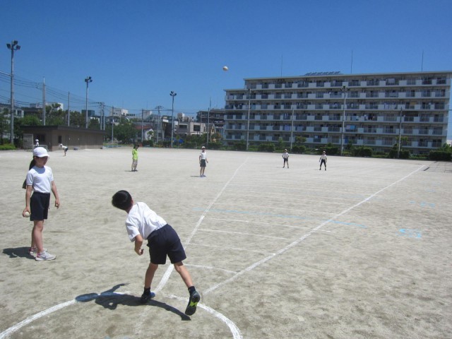 https://edogawa.schoolweb.ne.jp/1310071/blog_img/11998498?tm=20240611103405