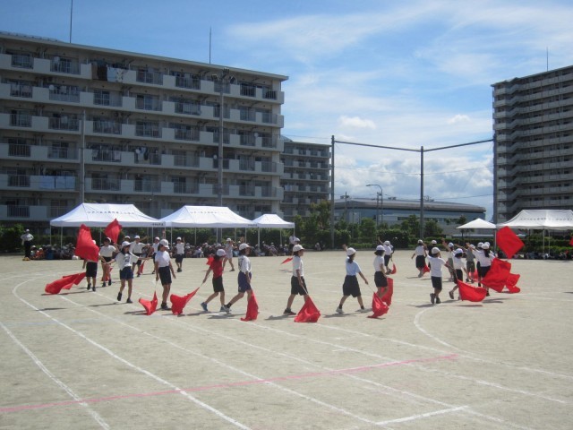 https://edogawa.schoolweb.ne.jp/1310071/blog_img/7024298?tm=20240530150323