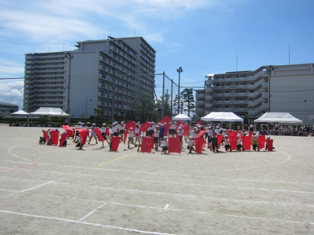 https://edogawa.schoolweb.ne.jp/1310071/blog_img/7024299?tm=20240530150323