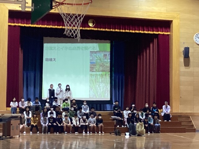 https://edogawa.schoolweb.ne.jp/1310071/blog_img/77578262?tm=20241114095515