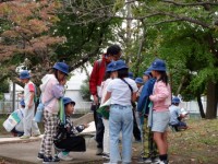 自然観察会の様子