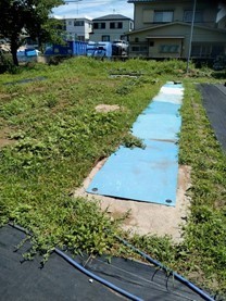 画像5.jpg