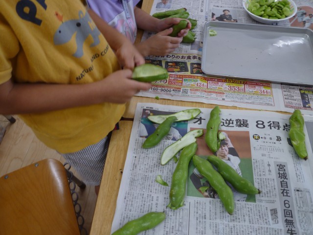 そら豆のさやむき体験