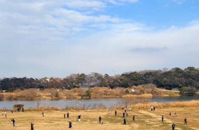 新春たこあげ大会.jpg