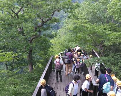 霧降の滝観瀑台