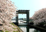 江戸川河川事務所ホームページから引用