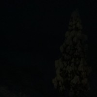 1/29（木曜日）6:10ころの様子