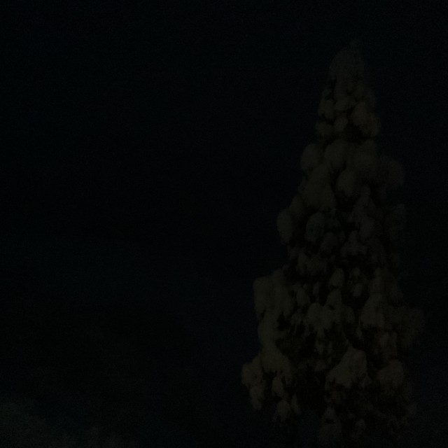 1/29（木曜日）6:10ころの様子