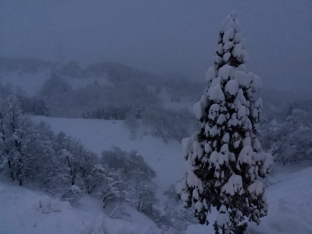 1/29（木曜日）6:30ころの様子