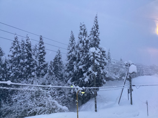 1/29（木曜日）6;40ころの様子　