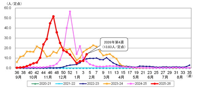 都内におけるインフルエンザ患者報告数（インフルエンザ定点報告）