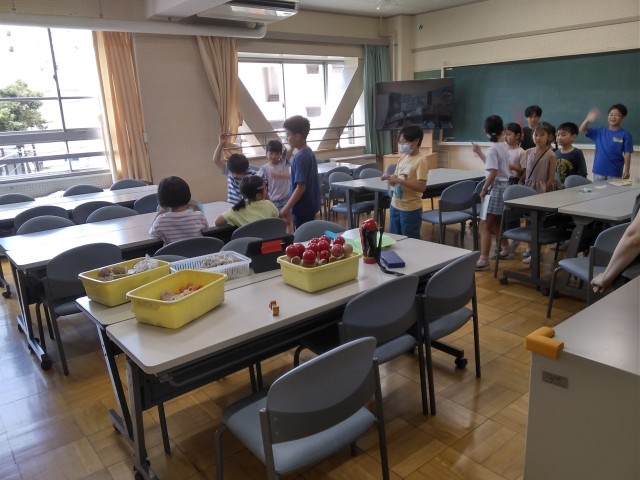 https://edogawa.schoolweb.ne.jp/1310084/blog_img/16138051?tm=20240718111249