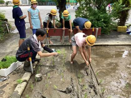 田植え体験１