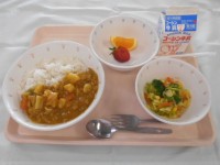 ２月２７日カレー.JPG