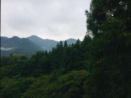 朝の景色