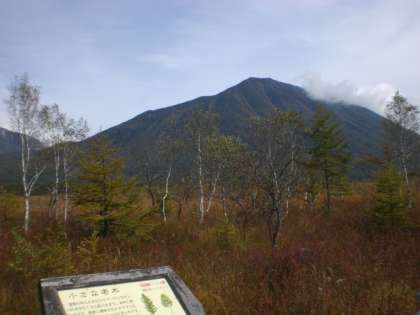 戦場ヶ原から望む男体山