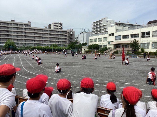 https://edogawa.schoolweb.ne.jp/1310094/blog_img/5173123?tm=20240521091628