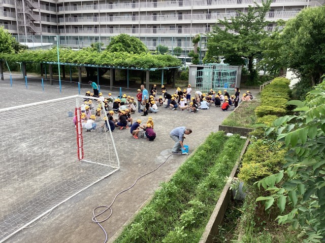 https://edogawa.schoolweb.ne.jp/1310094/blog_img/5180531?tm=20240523160511