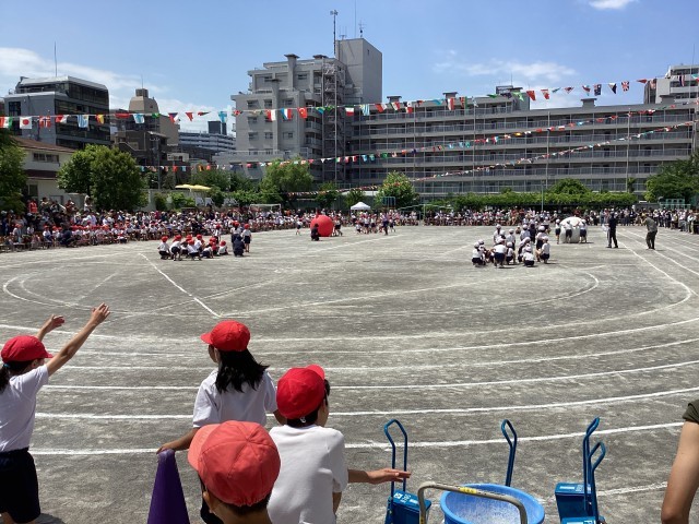 https://edogawa.schoolweb.ne.jp/1310094/blog_img/5184191?tm=20240525114438