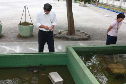 カメの水槽に餌をあげる校長先生