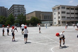 ソフトボール投げ　計測のお手伝い