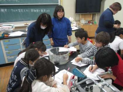 5年・海の生き物学習