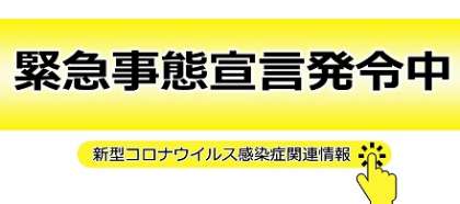 江戸川区ホームページ